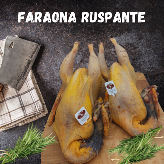 faraone