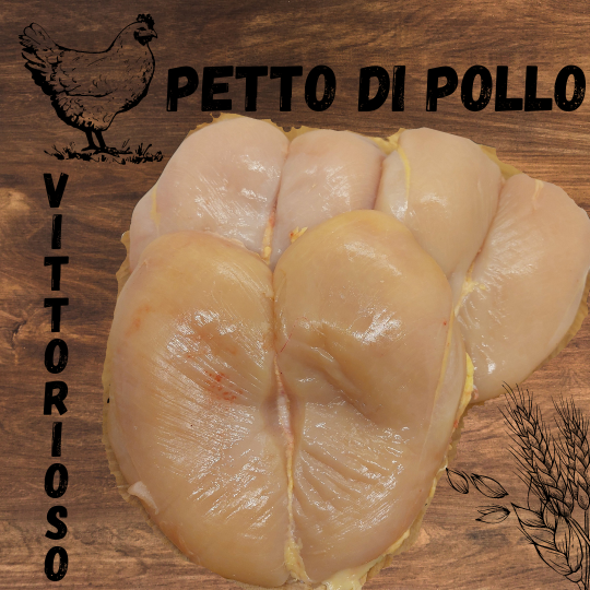 petto di pollo